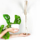 Do.Up Minoh Macrame Plant Hanger