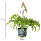 Do.Up Minoh Macrame Plant Hanger
