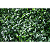 Botanic Artisan 100cm Square Faux Boxwood Screen Wall Panel
