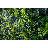 Botanic Artisan 100cm Square Spring Sensation Faux Foliage Wall Panel