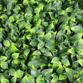 Botanic Artisan 100cm Square Faux Jasmine Wall Panel