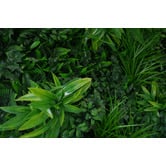 Botanic Artisan 100cm Square Green Tropics Faux Foliage Wall Panel