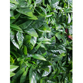 Botanic Artisan 100cm Square Green Meadows Faux Foliage Wall Panel
