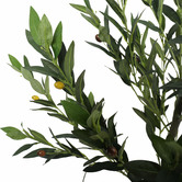 Botanic Artisan 125cm Faux Olive Tree
