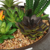 Botanic Artisan 19cm Potted Faux Mixed Succulents