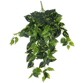 Botanic Artisan 73cm Faux Heart Leaf Philodendron Hanging Creeper Bush