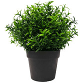 Botanic Artisan 20cm Potted Faux Small Bright Rosemary Herb Plant