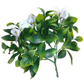 Botanic Artisan 30cm Faux White Flowering Jasmine Stems