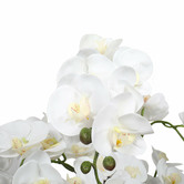 Botanic Artisan 65cm Potted Faux Large Multi-Stem White Orchid Plant