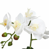 Botanic Artisan 35cm Potted Faux Single Stem White Phalaenopsis Orchid Plant