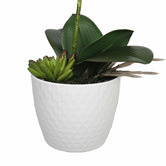 Botanic Artisan 35cm Potted Faux Single Stem White Phalaenopsis Orchid Plant