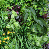 Botanic Artisan 100cm Faux Country Fern Vertical Hedge Wall Panel