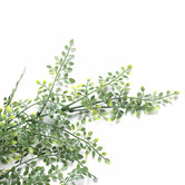 Botanic Artisan 90cm Faux Hanging Maiden Hair Fern