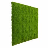 Botanic Artisan Faux Moss &amp; Green Wall Panel