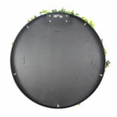 Botanic Artisan 50cm Faux Flowering White Green Wall Disc