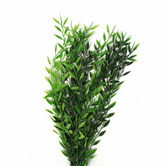 Botanic Artisan 30cm Faux Bamboo Leaf Stem