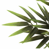 Botanic Artisan 150cm Green Potted Faux Bamboo Tree