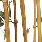 Botanic Artisan 150cm Green Potted Faux Bamboo Tree