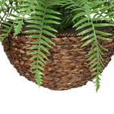 Botanic Artisan 60cm Faux Fern with Hanging Basket