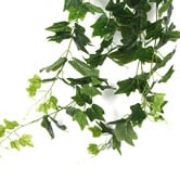 Botanic Artisan 90cm Faux Ivy Hanging Bush