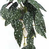 Botanic Artisan 30cm Potted Faux Begonia Plant