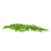 Botanic Artisan 80cm Faux Hanging Bell Leaf