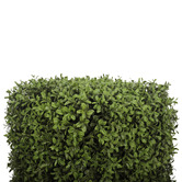 Botanic Artisan 55cm Potted Faux Square Topiary Plant
