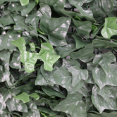 Botanic Artisan 100cm Square Faux Boston Ivy Leaf Wall Panel
