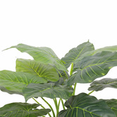 Botanic Artisan 70cm Cowles Potted Faux Taro Plant