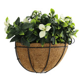 Botanic Artisan 35cm Fortier Faux Jasmine in Basket