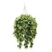Botanic Artisan 43cm Esau Faux Hanging Spring Evergreen