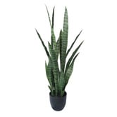 Botanic Artisan 90cm Riley Potted Faux Snake Plant