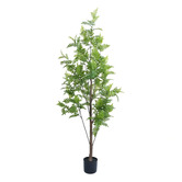 Botanic Artisan 180cm Orpen Potted Faux Bracken Palm Tree
