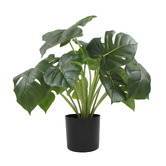 Botanic Artisan 50cm Bailey Potted Faux Philodendron Plant