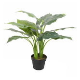 Botanic Artisan 70cm Cowles Potted Faux Taro Plant