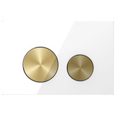 Belbagno Valence Dual Flush Plate