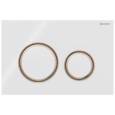 Geberit Sigma50 Round Dual Flush Plate