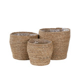 Hub Living 3 Piece Ochoa 26cm Cattail Grass Planter Set