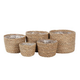 Hub Living 5 Piece Eiffel Cattail Grass Planter Set
