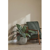 The Home Collective Yvette Rubberwood Armchair