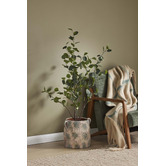 The Home Collective Yvette Rubberwood Armchair