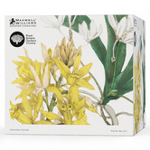 Maxwell &amp; Williams 2 Piece Yellow &amp; White Royal Botanic Gardens Planter Set