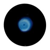 Maxwell &amp; Williams Midnight Caviar Porcelain Noodle Bowls