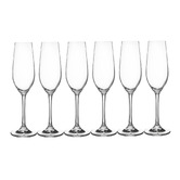 Maxwell &amp; Williams Manhattan 230ml Champagne Flutes