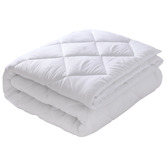 Aldrin Home 500GSM Denali Microfibre Winter Quilt