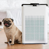 Chiswick Living Pure Max Carbon Filter Air Purifier