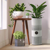 Chiswick Living Air Purifier Tower with Wi-Fi Control