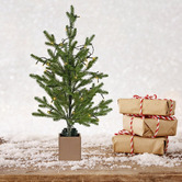 Chiswick Living Thomas Potted LED Christmas Tree