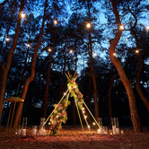 Chiswick Living Warm White Shelby Replacement Festoon Light Bulbs