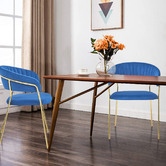 Albion Collection Etienne Velvet Dining Chairs